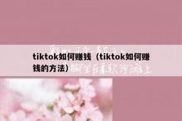tiktok如何赚钱（tiktok如何赚钱的方法）