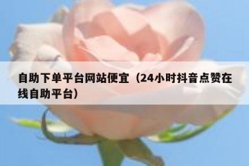 自助下单平台网站便宜（24小时抖音点赞在线自助平台）