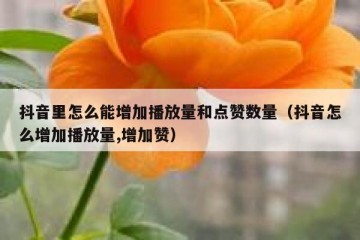 抖音里怎么能增加播放量和点赞数量（抖音怎么增加播放量,增加赞）