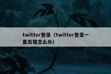 twitter登录（twitter登录一直出错怎么办）