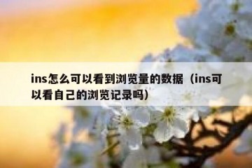 ins怎么可以看到浏览量的数据（ins可以看自己的浏览记录吗）