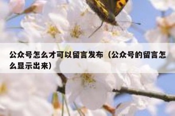 公众号怎么才可以留言发布（公众号的留言怎么显示出来）