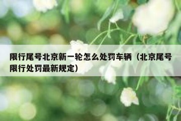 限行尾号北京新一轮怎么处罚车辆（北京尾号限行处罚最新规定）