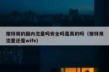 推特用的国内流量吗安全吗是真的吗（推特用流量还是wife）