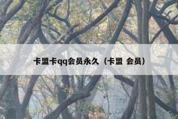 卡盟卡qq会员永久（卡盟 会员）