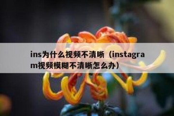 ins为什么视频不清晰（instagram视频模糊不清晰怎么办）