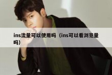ins流量可以使用吗（ins可以看浏览量吗）