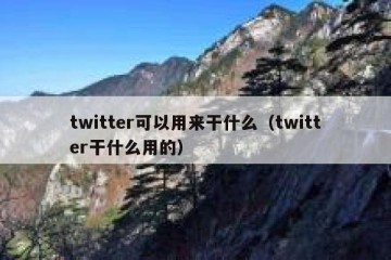 twitter可以用来干什么（twitter干什么用的）