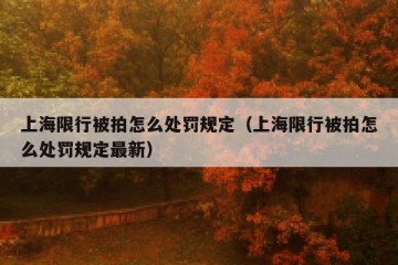 上海限行被拍怎么处罚规定（上海限行被拍怎么处罚规定最新）