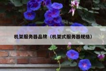 机架服务器品牌（机架式服务器规格）