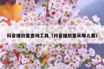 抖音播放量查询工具（抖音播放量从哪儿看）