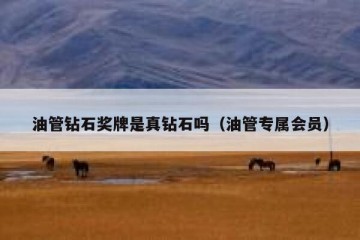 油管钻石奖牌是真钻石吗（油管专属会员）