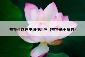 推特可以在中国使用吗（推特是干嘛的）