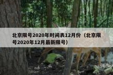北京限号2020年时间表12月份（北京限号2020年12月最新限号）