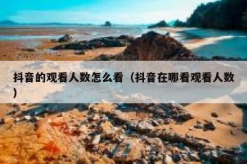 抖音的观看人数怎么看（抖音在哪看观看人数）