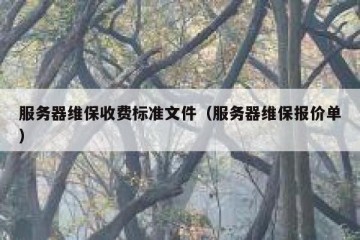 服务器维保收费标准文件（服务器维保报价单）