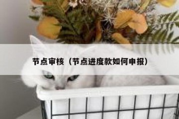 节点审核（节点进度款如何申报）