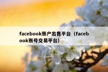 facebook账户出售平台（facebook账号交易平台）