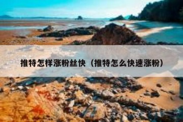 推特怎样涨粉丝快（推特怎么快速涨粉）