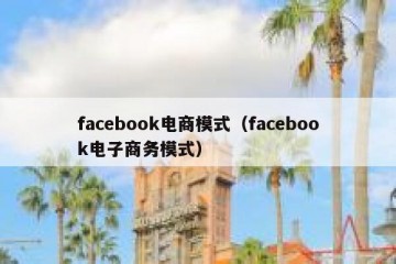 facebook电商模式（facebook电子商务模式）