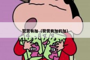赞赏有加（赞赏有加的加）