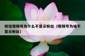 微信视频号为什么不显示粉丝（视频号为啥不显示粉丝）