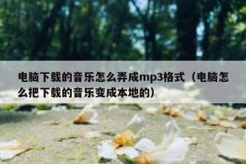 电脑下载的音乐怎么弄成mp3格式（电脑怎么把下载的音乐变成本地的）