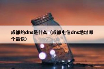 成都的dns是什么（成都电信dns地址哪个最快）