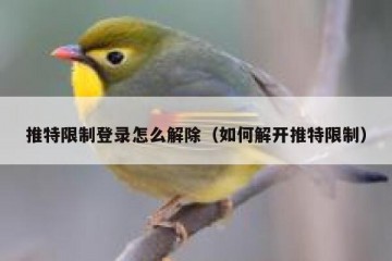 推特限制登录怎么解除（如何解开推特限制）