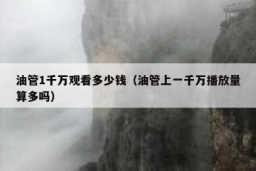 油管1千万观看多少钱（油管上一千万播放量算多吗）