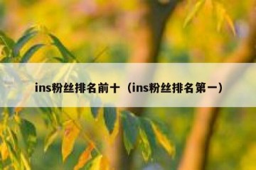 ins粉丝排名前十（ins粉丝排名第一）