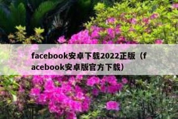 facebook安卓下载2022正版（facebook安卓版官方下载）