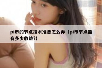 pi币的节点技术准备怎么弄（pi币节点能有多少收益?）