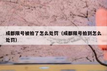 成都限号被拍了怎么处罚（成都限号拍到怎么处罚）