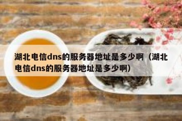 湖北电信dns的服务器地址是多少啊（湖北电信dns的服务器地址是多少啊）