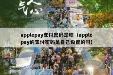 applepay支付密码是啥（applepay的支付密码是自己设置的吗）