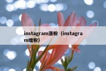 instagram涨粉（instagram增粉）