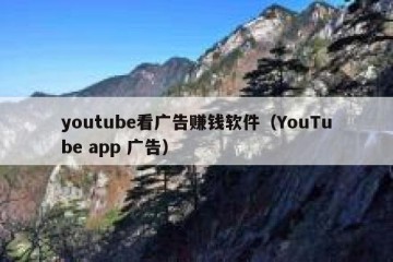 youtube看广告赚钱软件（YouTube app 广告）