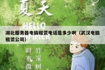 湖北服务器电脑租赁电话是多少啊（武汉电脑租赁公司）