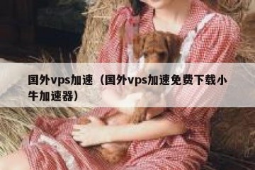 国外vps加速（国外vps加速免费下载小牛加速器）