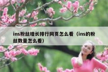 ins粉丝增长排行网页怎么看（ins的粉丝数量怎么看）
