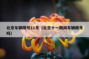 北京车辆限号11月（北京十一期间车辆限号吗）