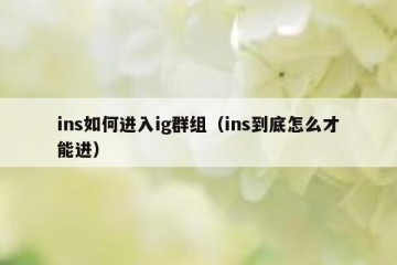ins如何进入ig群组（ins到底怎么才能进）