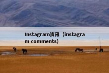 Instagram资讯（instagram comments）