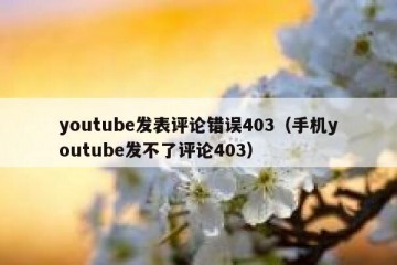 youtube发表评论错误403（手机youtube发不了评论403）