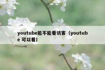 youtube能不能看访客（youtube 可以看）