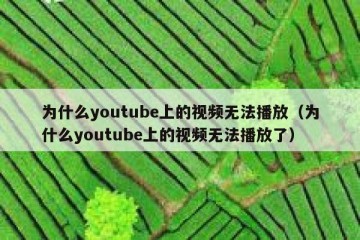 为什么youtube上的视频无法播放（为什么youtube上的视频无法播放了）