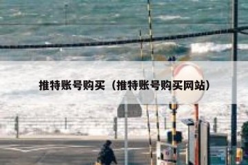 推特账号购买（推特账号购买网站）