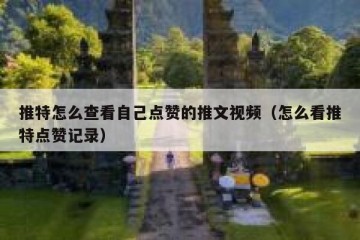 推特怎么查看自己点赞的推文视频（怎么看推特点赞记录）