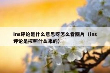 ins评论是什么意思呀怎么看图片（ins评论是按照什么来的）